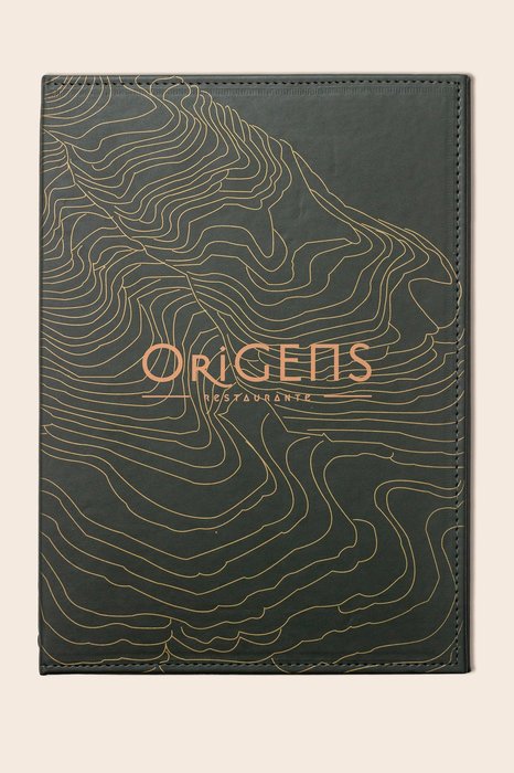 cardápio de origens — origens